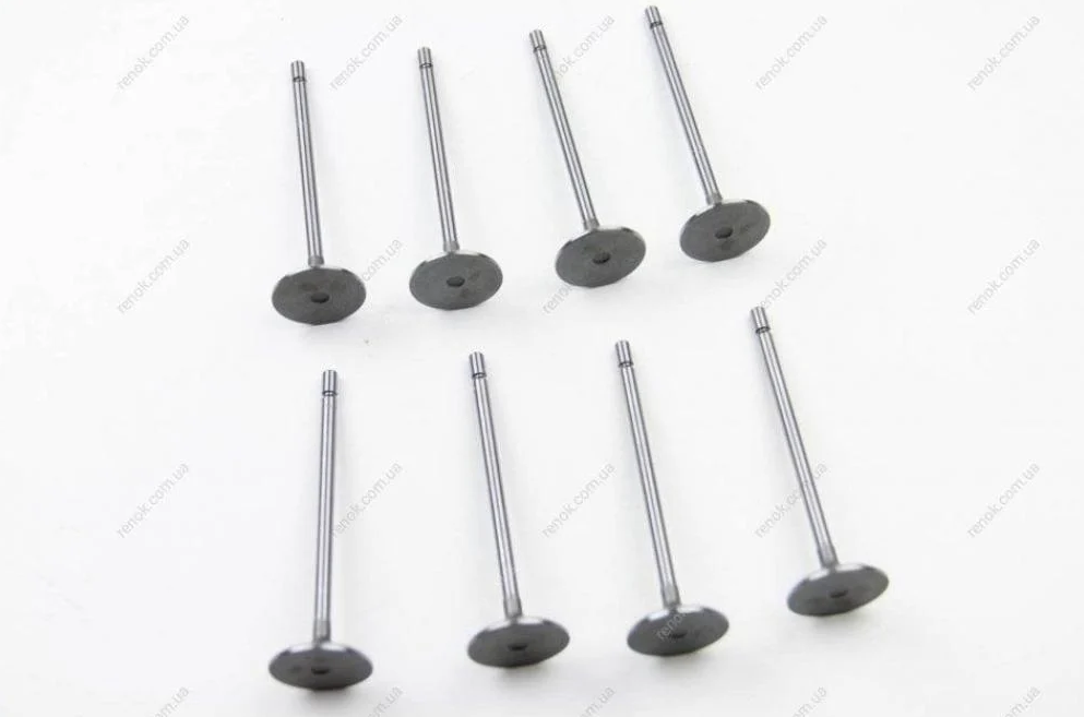 Expert-Scudo Air Valves