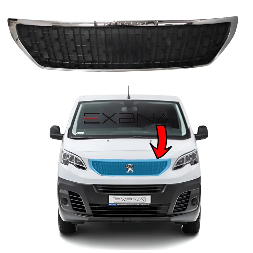 ---Expert main network without a tag