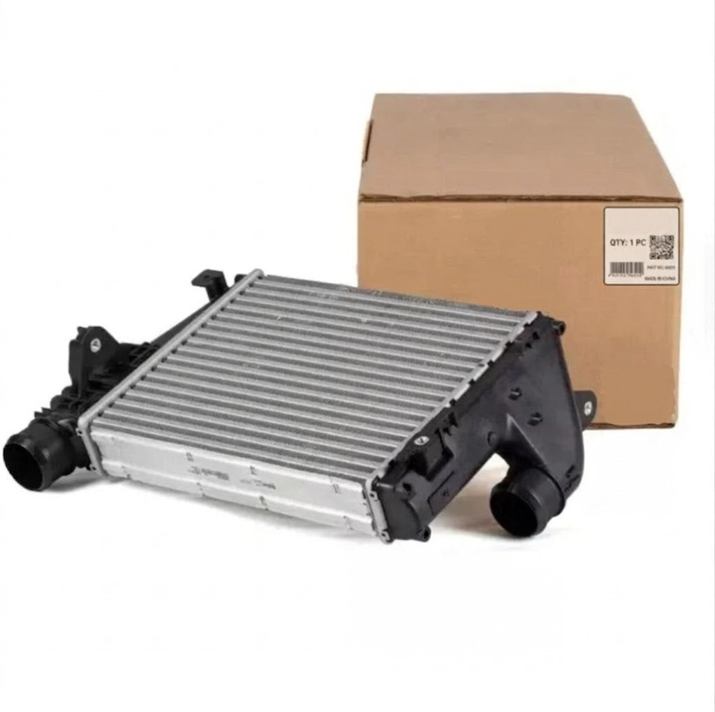 Turbo Expert + Scudo cooler