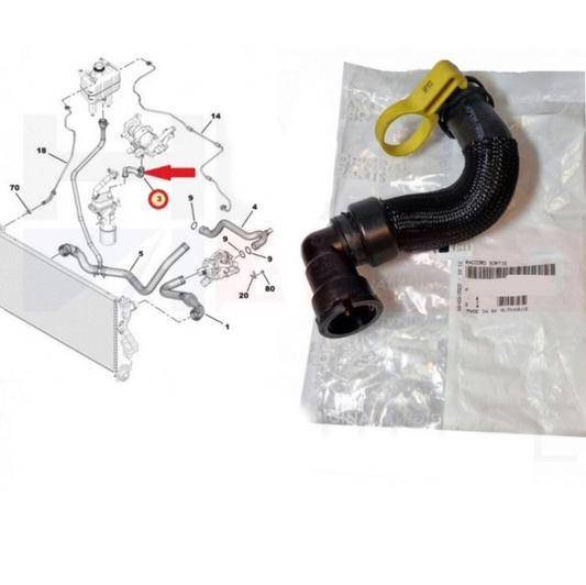 Hose Expert + Scudo Turbo Oil Cooler Agency