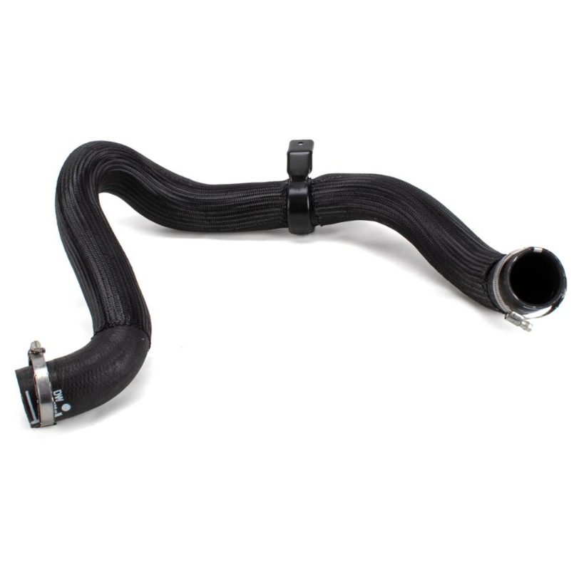 Turbo hose over Peugeot Expert + Scudo