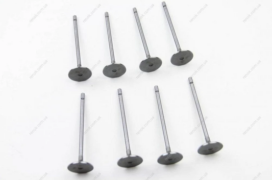 Expert-Scudo Air Valves