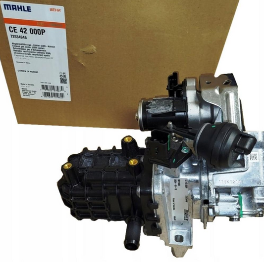 EGR X-Birth and Trafler Mahli