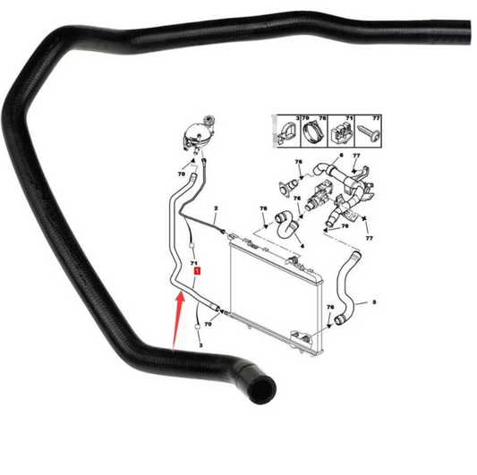 Expert hose to radiator (small)