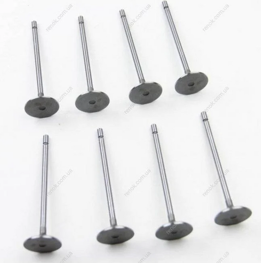 Nar Expert Valve Set