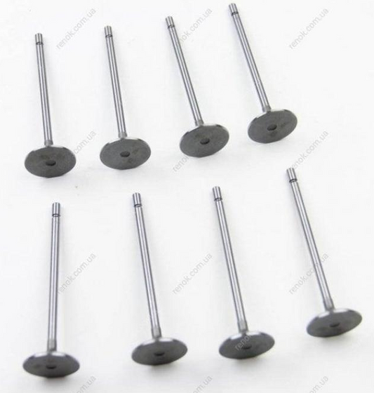 Peugeot 301 Partner Petrol Berlingo Air Valve Kit
