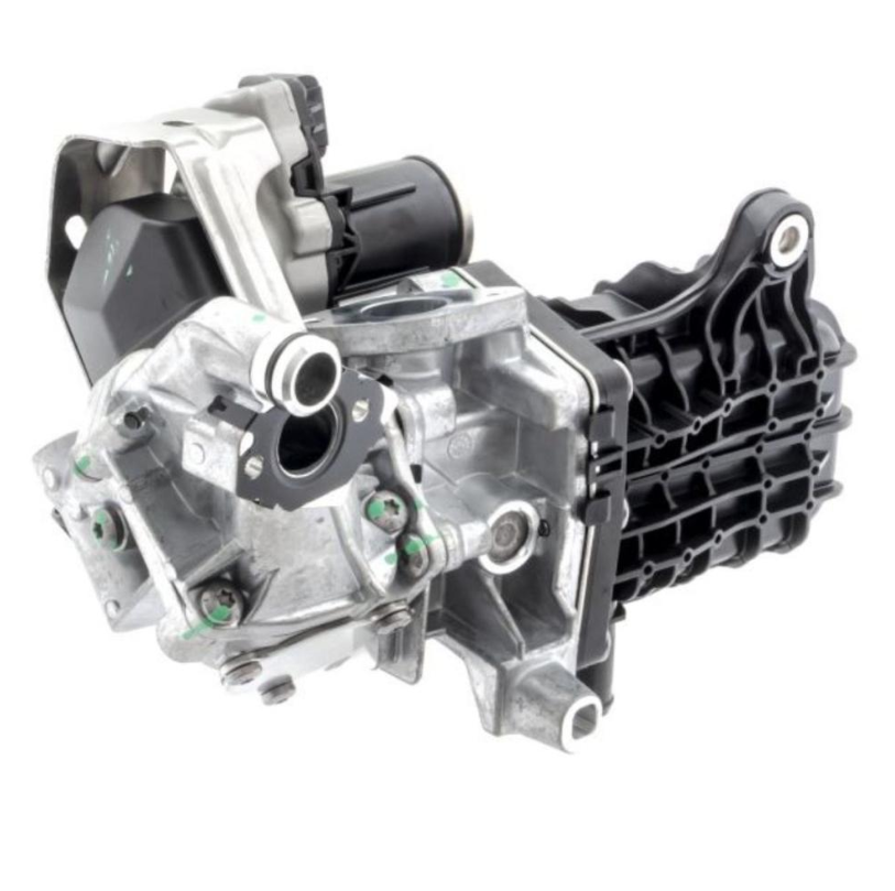 EGR X-Birth and Trafler Mahli